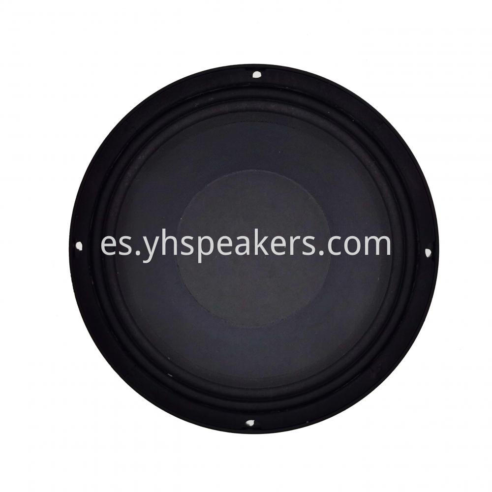 Professional Audio 10 Inch Neodymium Speaker